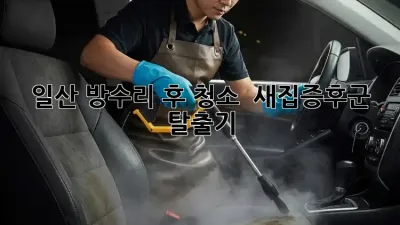 일산 방수리 후 청소 ✨ 새집증후군 탈출기!
